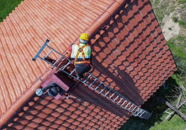 Roof Insulation in Plum Grove, TX