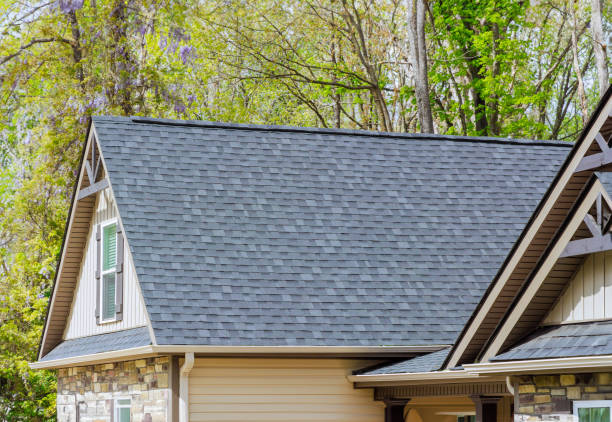 Best Gutter Installation and Repair  in Plum Grove, TX