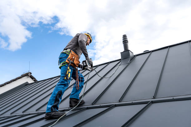 Best Gutter Installation and Repair  in Plum Grove, TX